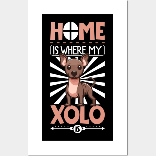 Home is with my Xoloitzcuintle Posters and Art